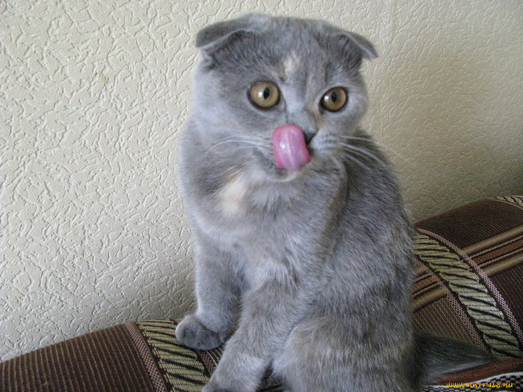 , , 